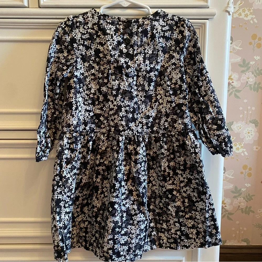 Baby Gap Floral Dress